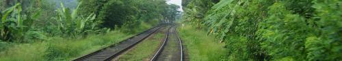 train.jpg Sri Lanka travel and tours